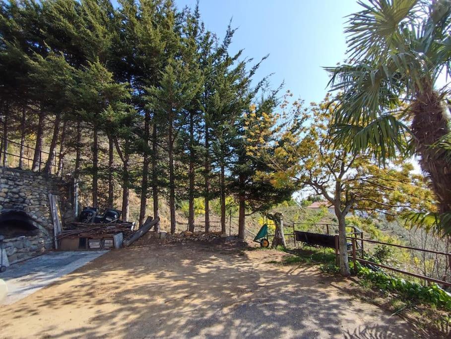 Detached House With Garden And Sea View Guest House ซานเรโม ภายนอก รูปภาพ